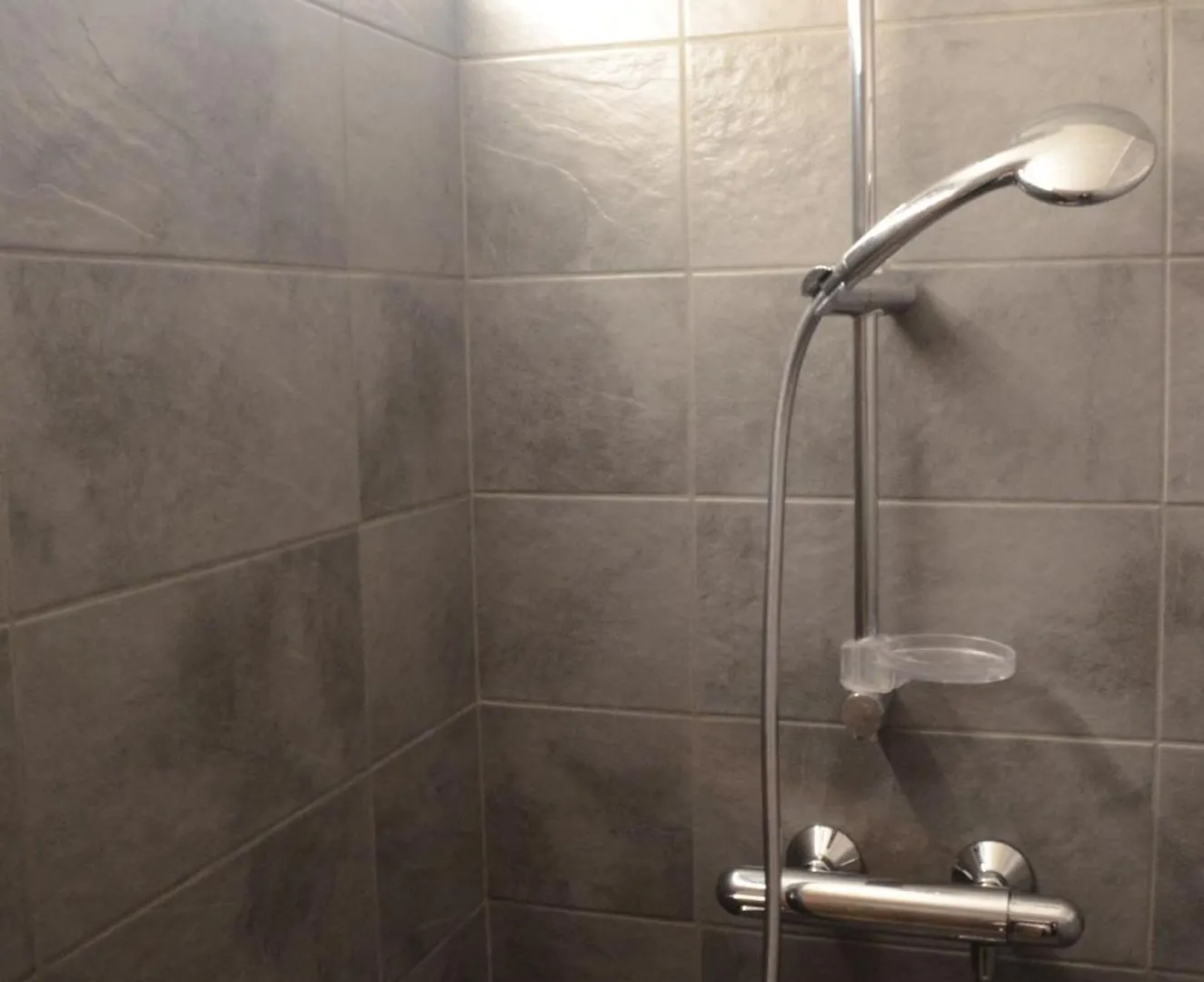 Apartment Appartement La Clairiere Chatel Reservation